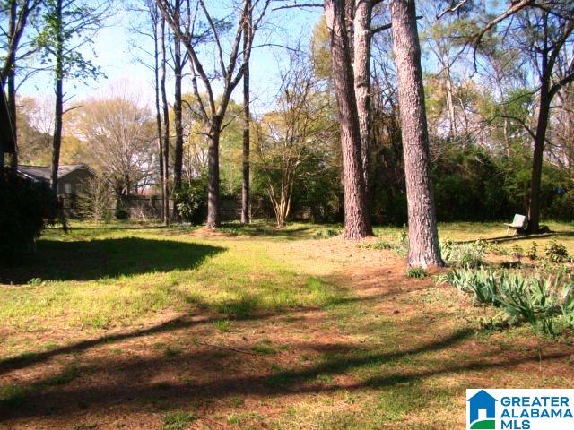 303 Hubbard Circle Anniston, AL 36206 - Photo 33 of 34