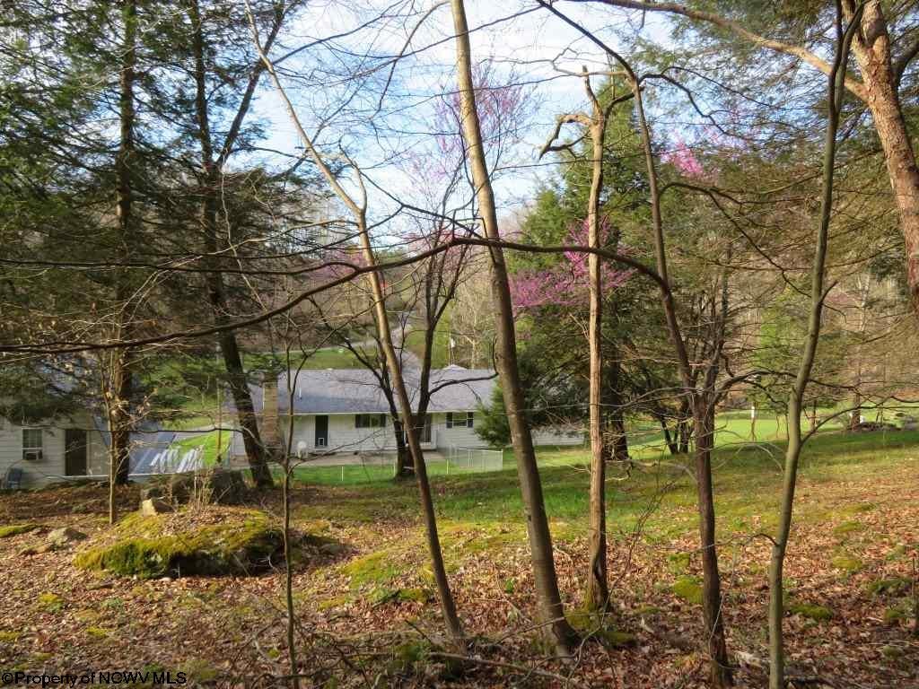 1526 Co Rte 22/9 Heaters, WV 26627 - Photo 20 of 20 Gallery Image 20