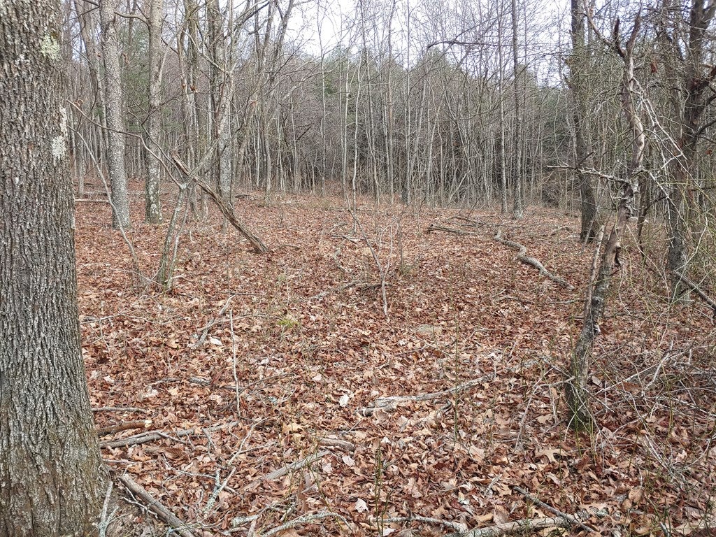 Tbd Calvary Wy Road Laurel Fork, VA 24352 - Photo 3 of 11 Gallery Image 3
