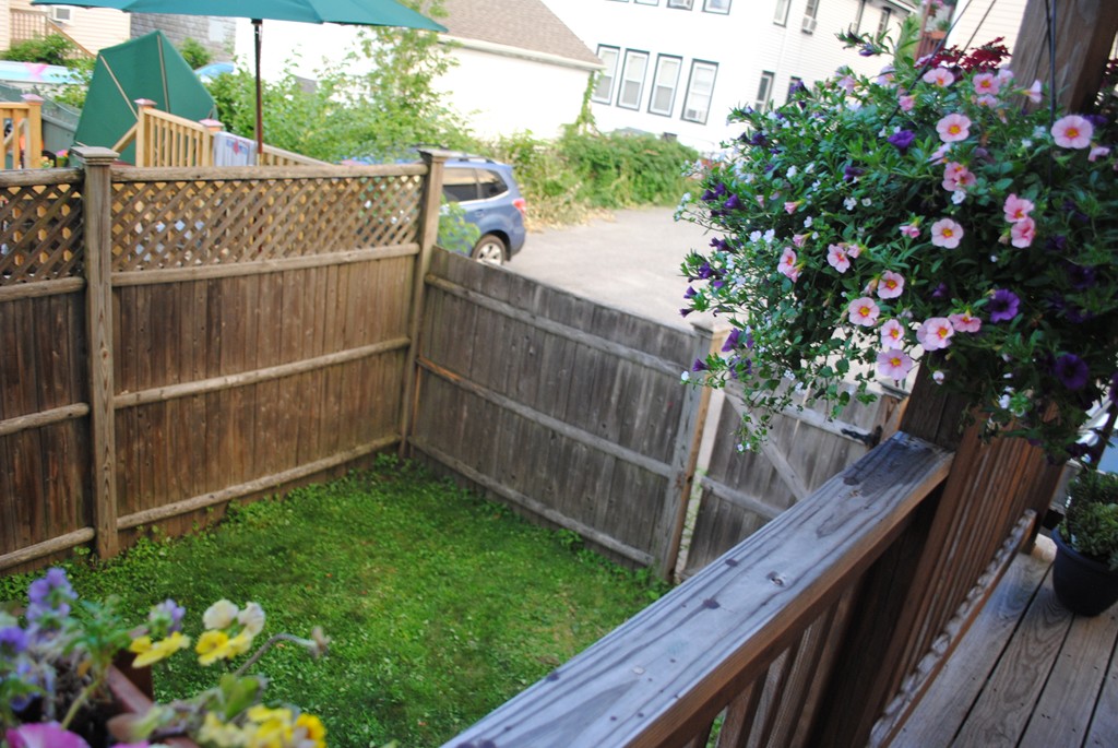 20 R Cross Street, Unit 1 Somerville, MA 02145 - Photo 20 of 20 Gallery Image 20