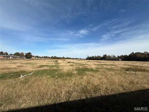 $150,000 | 0 West Washington Street, Hayti, MO 63851