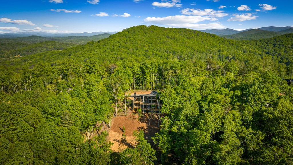 146-7 Figure Ridge Blue Ridge, GA 30513 - Photo 102 of 113 Gallery Image 102