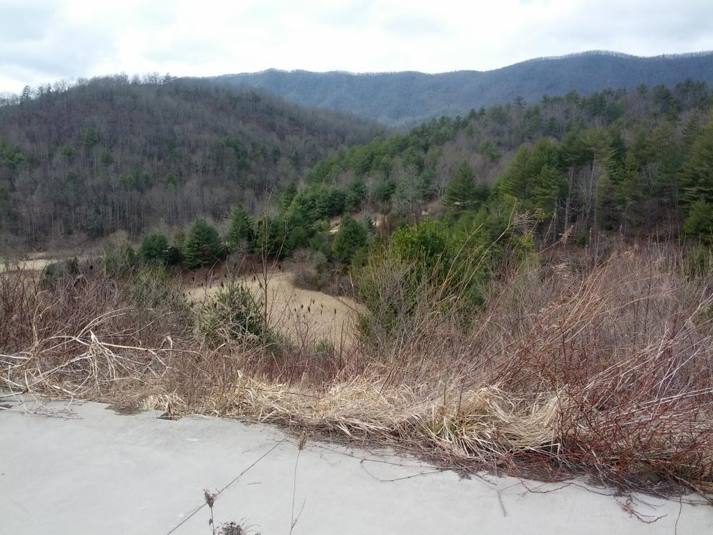 0 Pine Orchard Road, Unit 11 & 12 Butler, TN 37640 - Photo 3 of 9 view from ft
