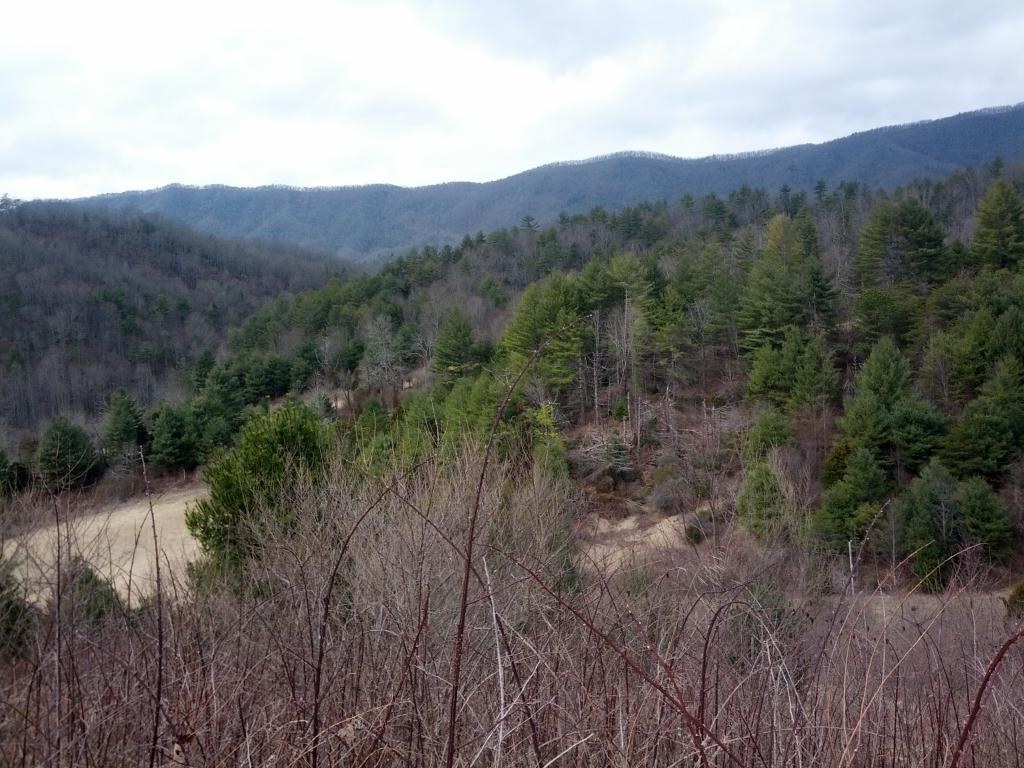 0 Pine Orchard Road, Unit 11 & 12 Butler, TN 37640 - Photo 5 of 9 from drive up to house site