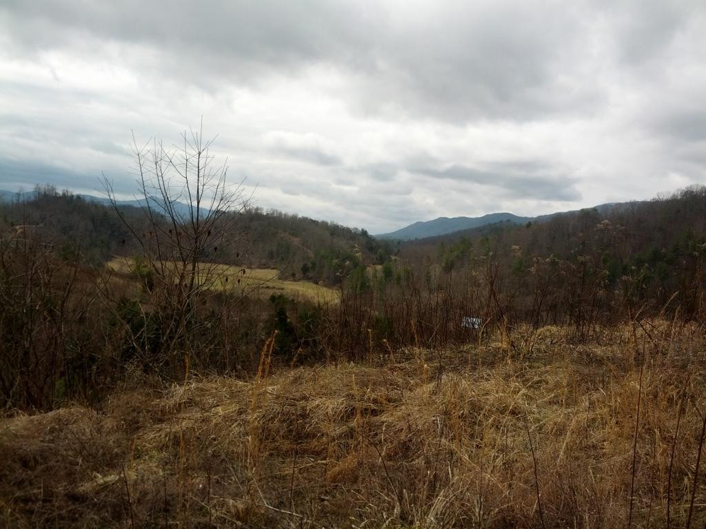 0 Pine Orchard Road, Unit 11 & 12 Butler, TN 37640 - Photo 6 of 9 view mt