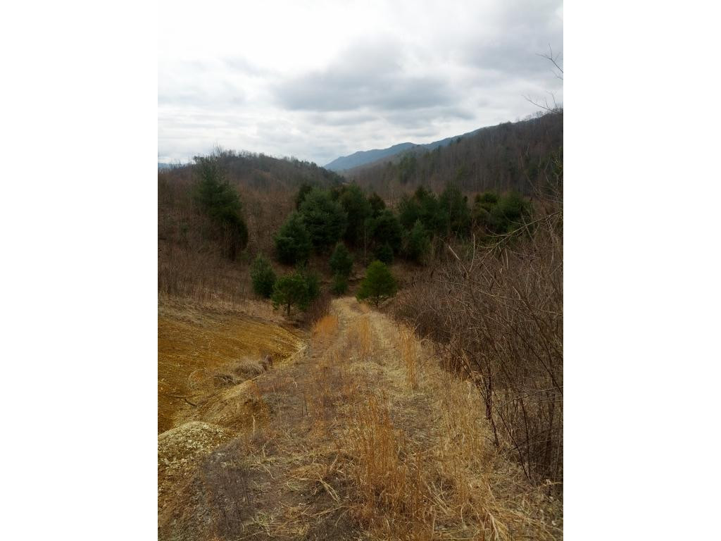 0 Pine Orchard Road, Unit 11 & 12 Butler, TN 37640 - Photo 7 of 9 drive down to Pine Orchard