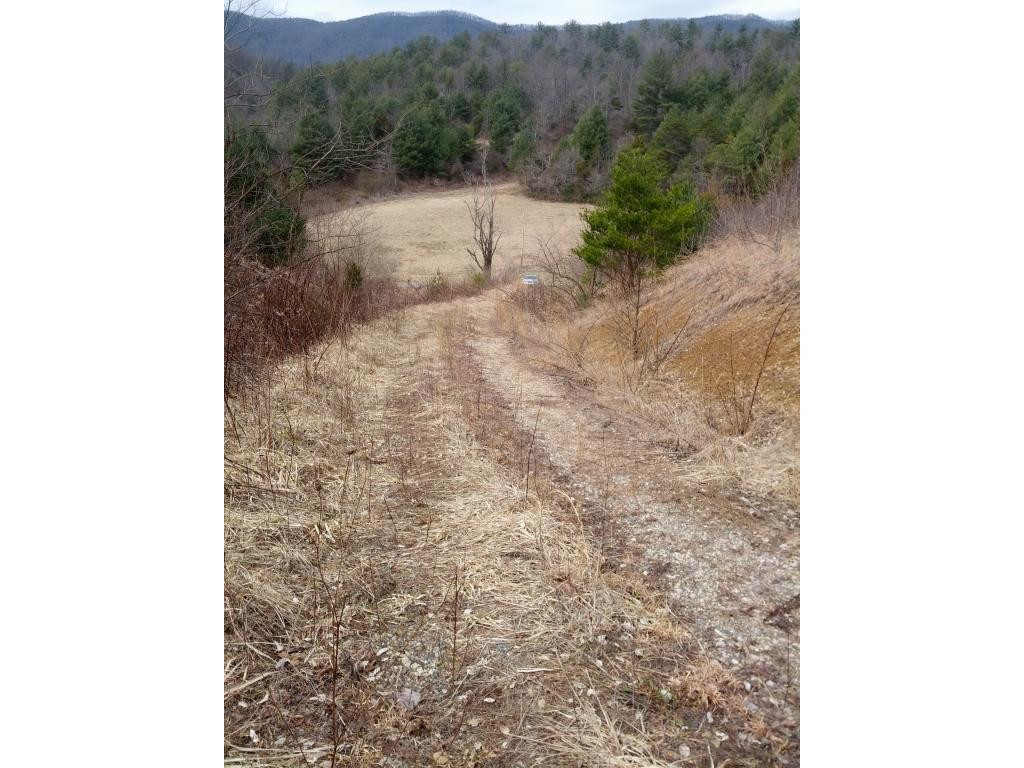 0 Pine Orchard Road, Unit 11 & 12 Butler, TN 37640 - Photo 8 of 9 drive