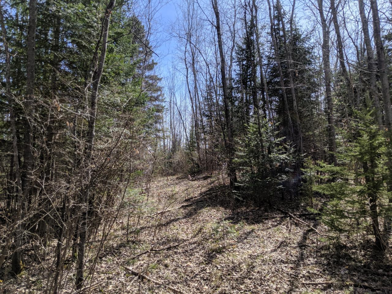 Lot 27 Shady Knoll Road Park Falls, WI 54552 - Photo 16 of 18 Gallery Image 16