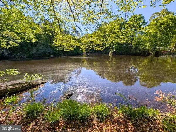 a view of a lake with a park