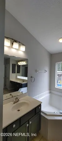 a bathroom with a sink and a large mirror