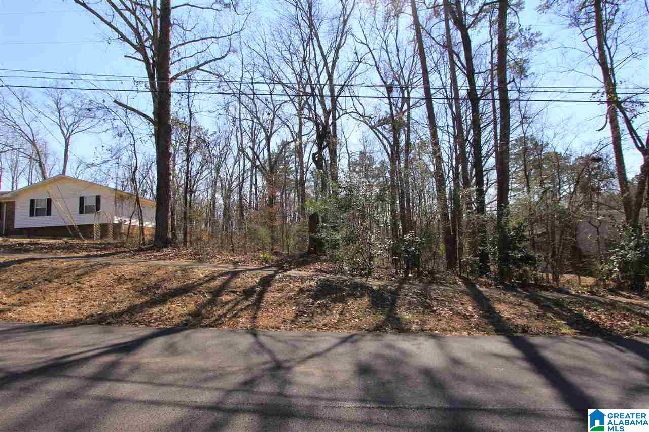0 Spring Valley Road, Unit 9 Anniston, AL 36207 - Photo 6 of 10