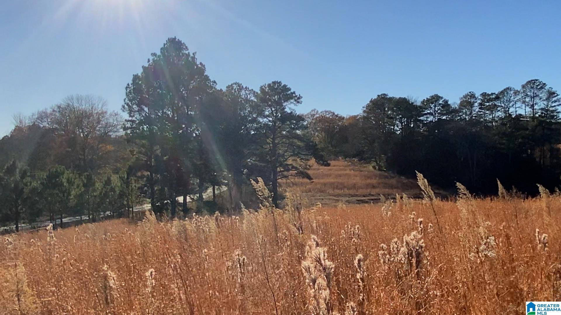 0 Highway 132, Unit 7 82 / ACRES Oneonta, AL 35121 - Photo 7 of 9