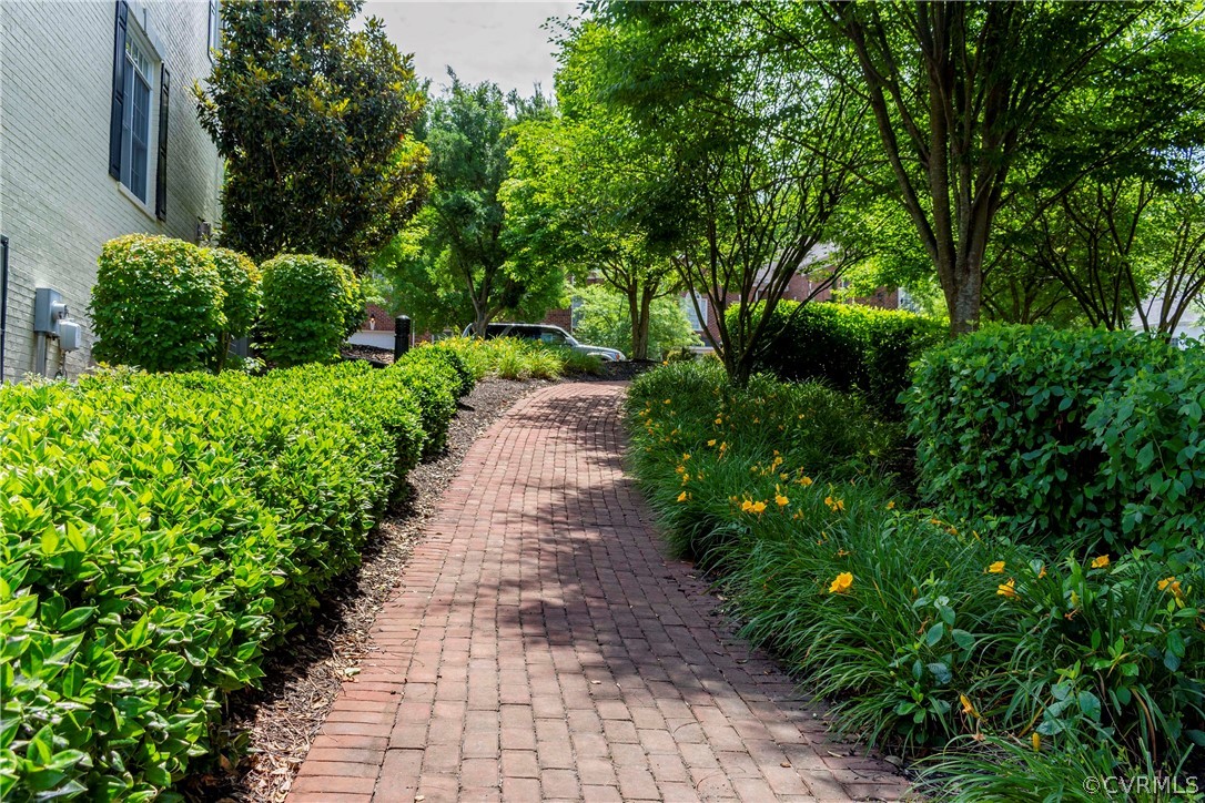1122 Hyde Lane Henrico, VA 23229 - Photo 42 of 50 a view of a garden with plants and large trees