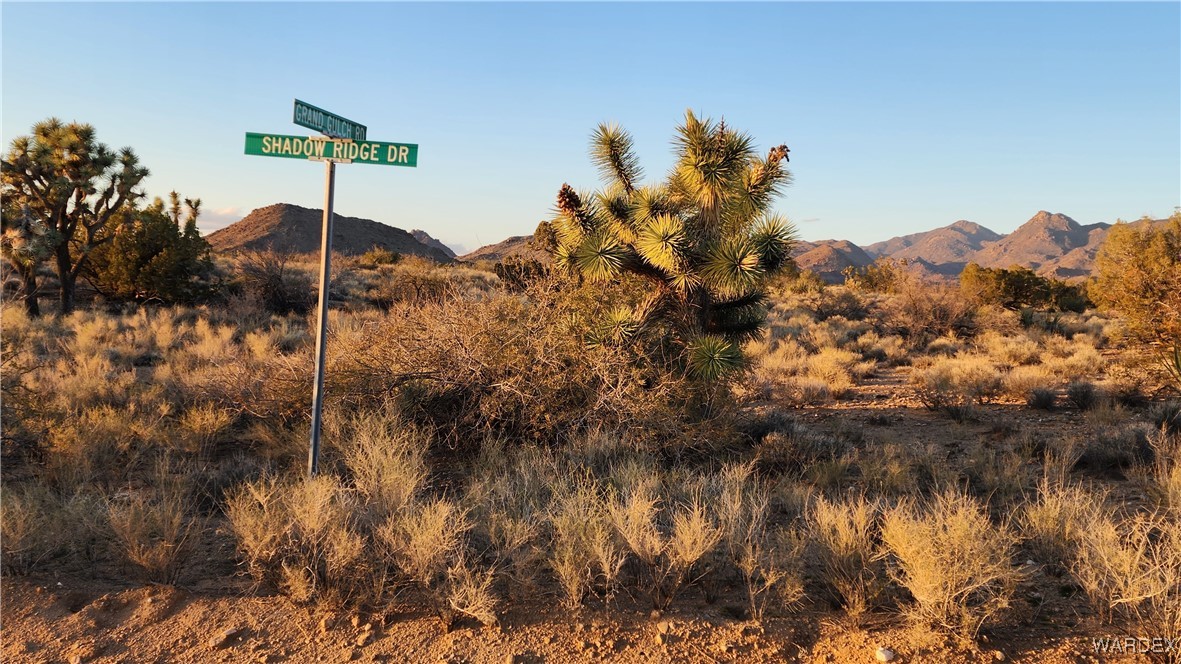 34 South Wagon Trail Road Yucca, AZ 86438 - Photo 1 of 18 Lot