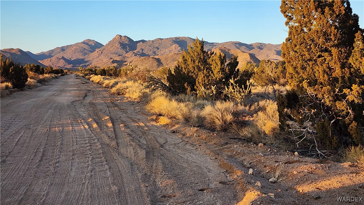 34 South Wagon Trail Road Yucca, AZ 86438 - Photo 16 of 18 Lot