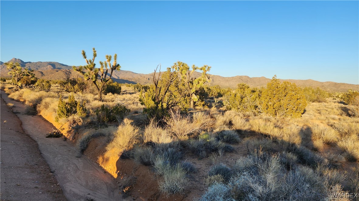 34 South Wagon Trail Road Yucca, AZ 86438 - Photo 3 of 18 Lot