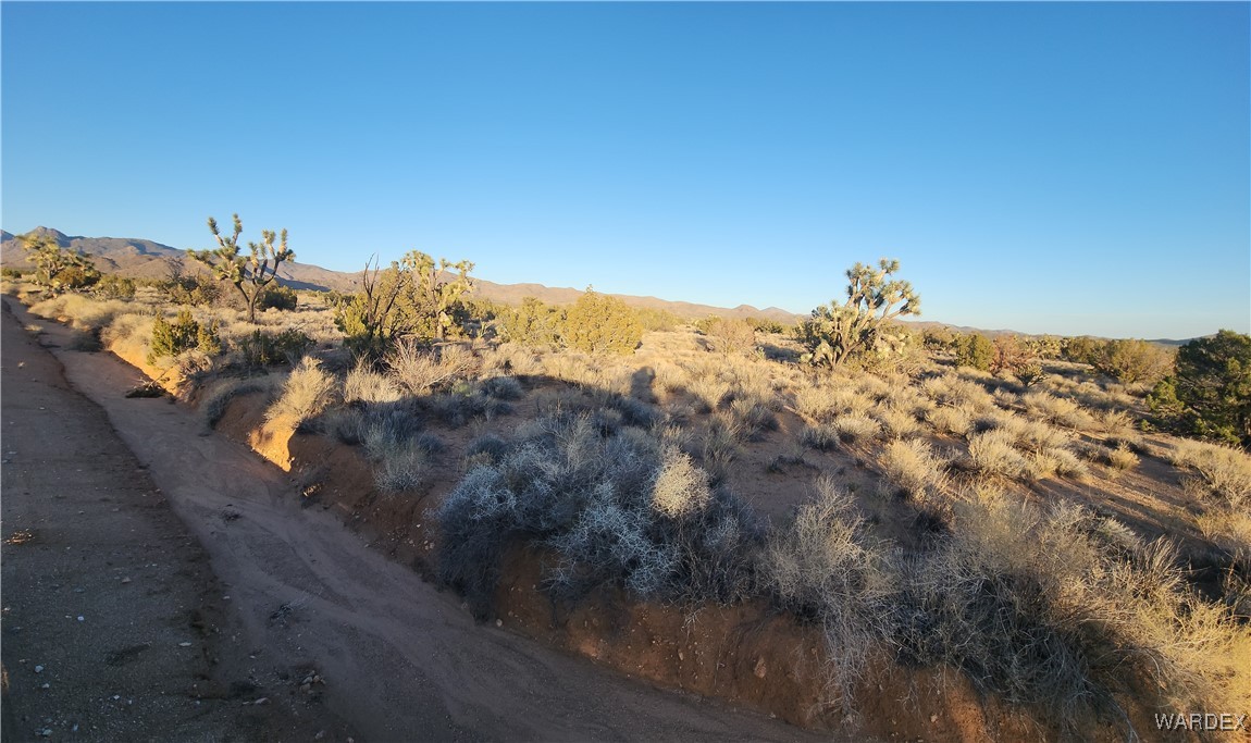 34 South Wagon Trail Road Yucca, AZ 86438 - Photo 4 of 18 Lot