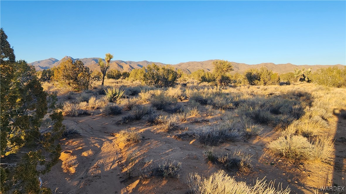 34 South Wagon Trail Road Yucca, AZ 86438 - Photo 5 of 18 Lot