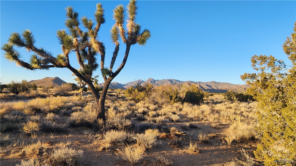 34 South Wagon Trail Road Yucca, AZ 86438 - Photo 6 of 18 Lot