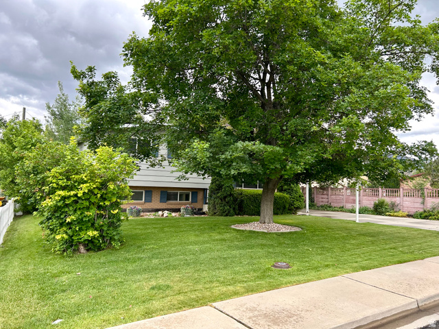 441 South 400 East Payson, UT 84651 - Photo 3 of 39 Established front yard featuring a mature shade tree, manicured lawn, and foundational shrubs