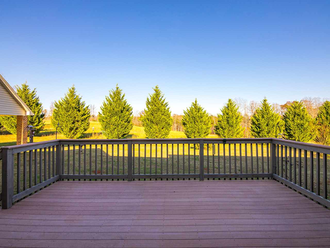 893 Chesnee Road Columbus, NC 28722 - Photo 29 of 36