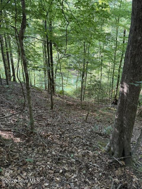 Lot 37 Quiet Waters Road Murphy, NC 28906 - Photo 4 of 6