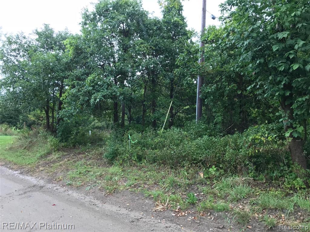 2 Dutcher Road Howell, MI 48843 - Photo 15 of 15