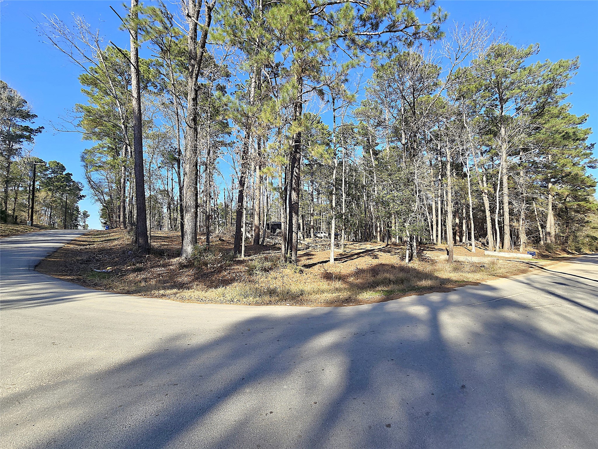 20 Morris Creek Road Coldspring, TX 77331 - Photo 19 of 29 This photo shows a wooded corner lot with tall trees, located at the intersection of two paved roads. It's a serene and natural setting, ideal for those seeking a quiet, wooded environment for their home.