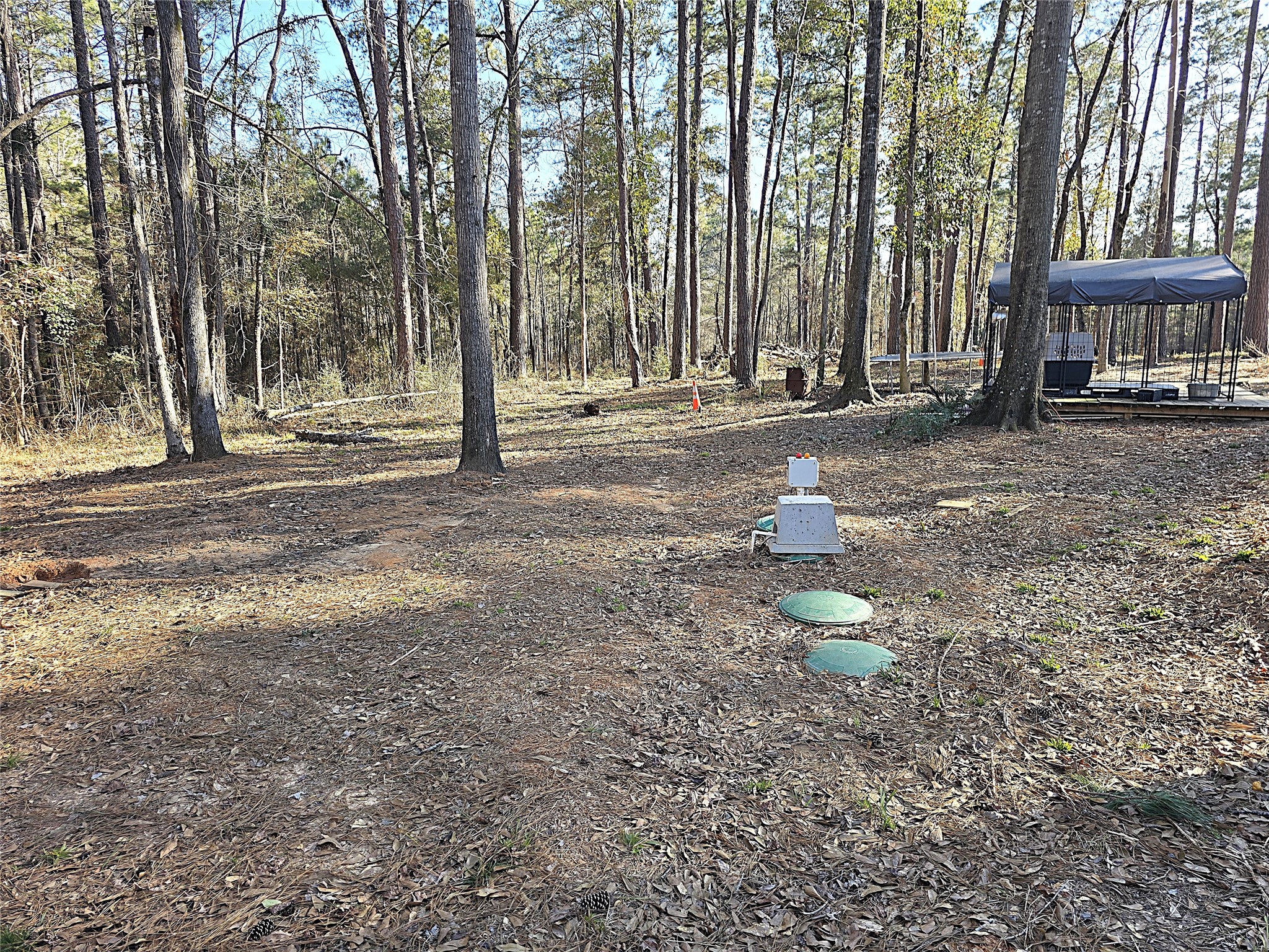 20 Morris Creek Road Coldspring, TX 77331 - Photo 22 of 29