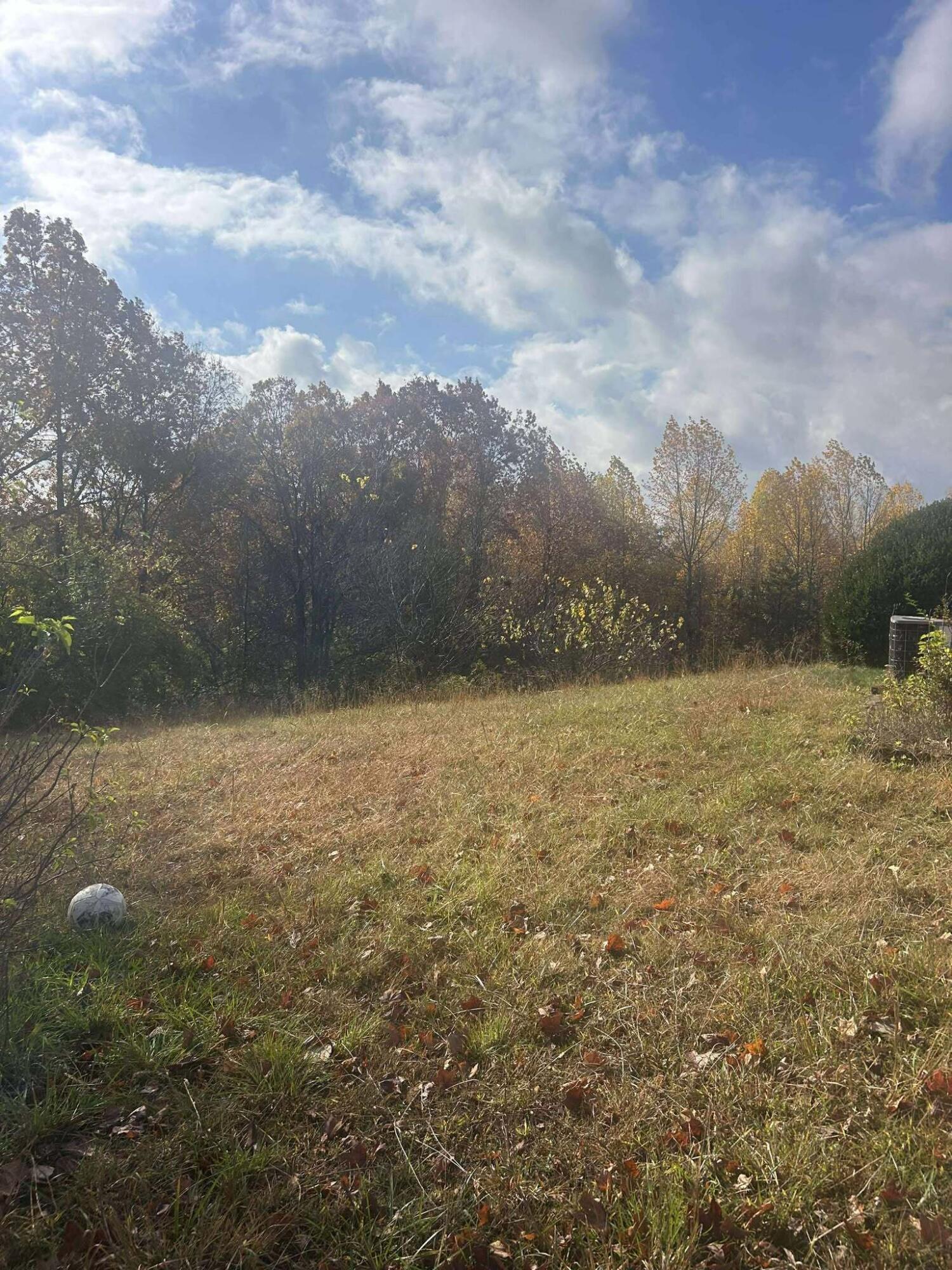 1325 Weaver Ridge Road Morehead, KY 40351 - Photo 4 of 17 581969989_700180959797222_55032513194470
