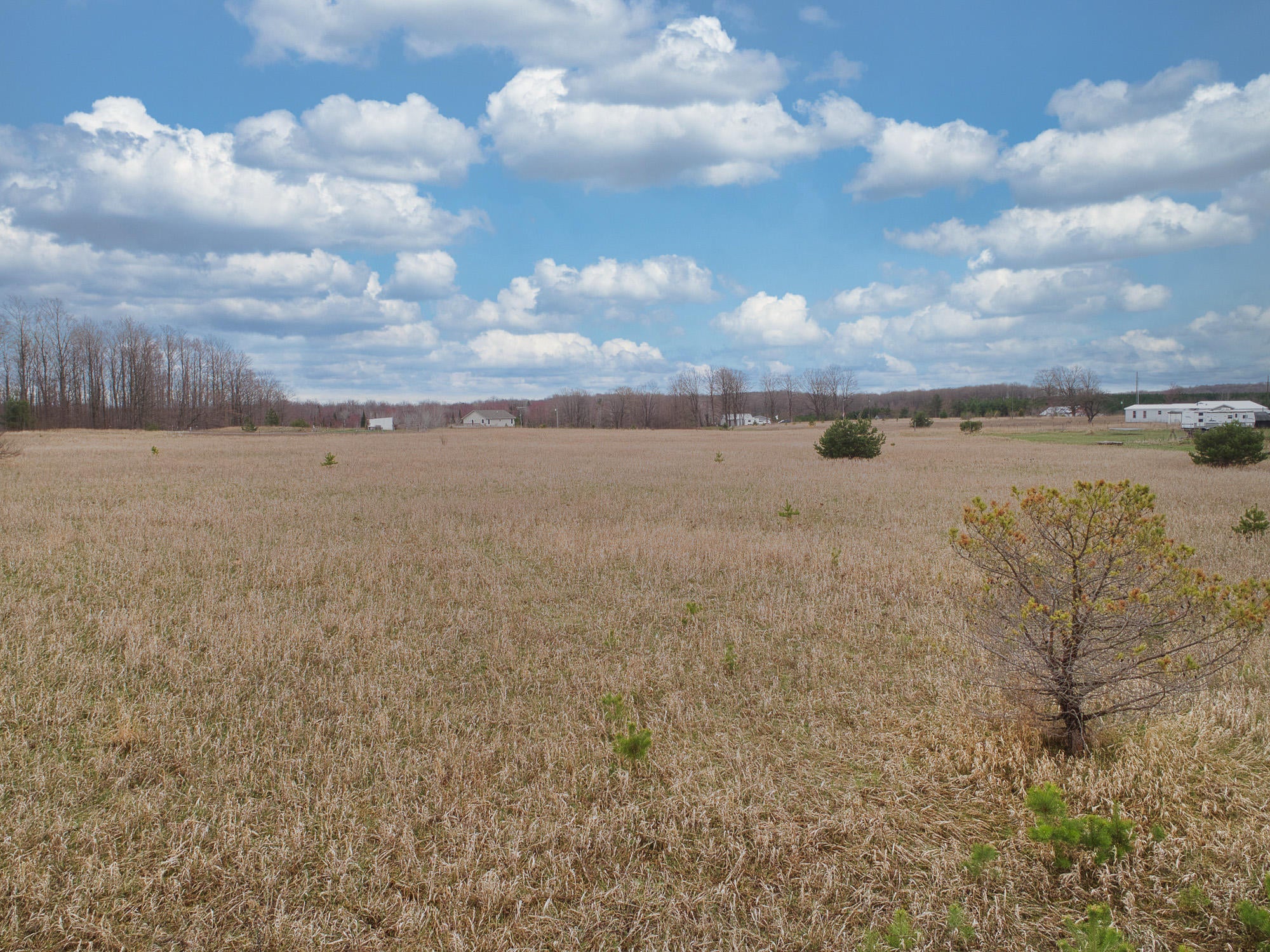 3390 Webb Road Wolverine, MI 49799 - Photo 7 of 29 Gallery Image 7