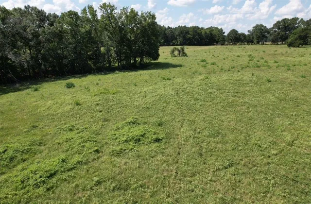a view of a field with an trees