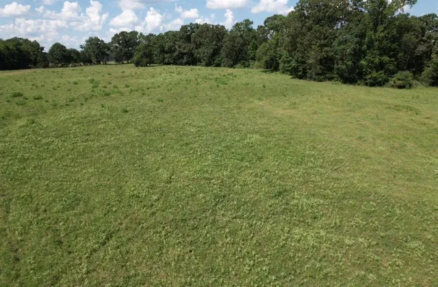 a view of a field with trees in the background
