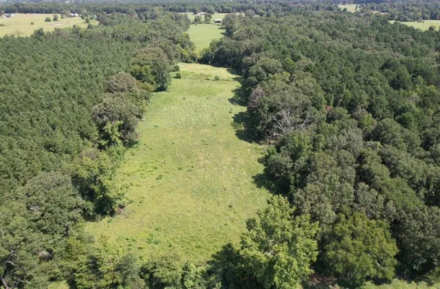 a view of a forest with a houses