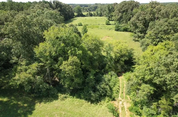 a view of outdoor space and trees all around