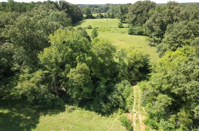 a view of outdoor space and trees all around