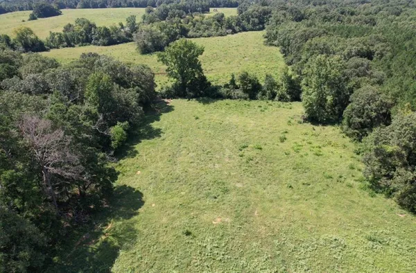 a view of a yard with plants and trees
