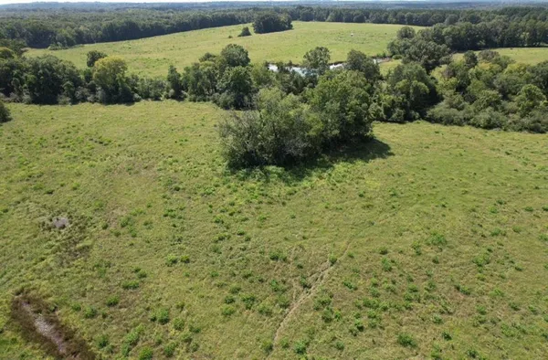 a view of a yard with an outdoor space