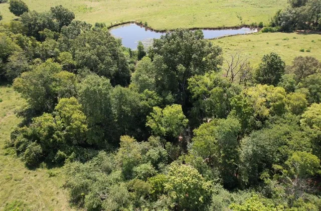 an aerial view of a houses with a lake view