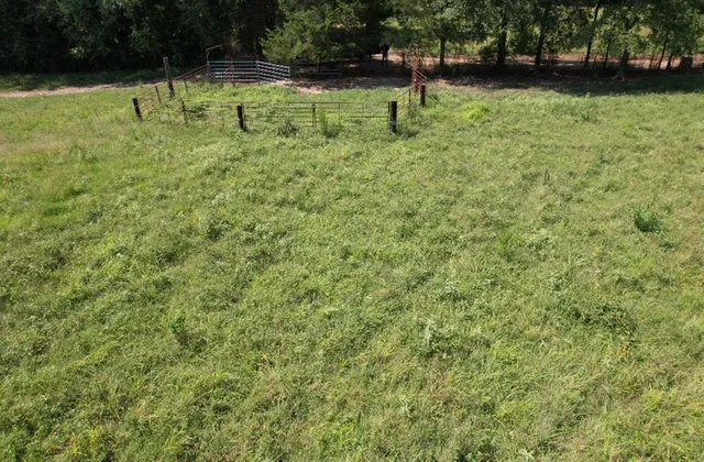 a view of outdoor space with deck and yard
