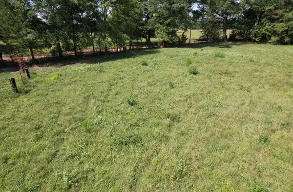 a view of yard with trees