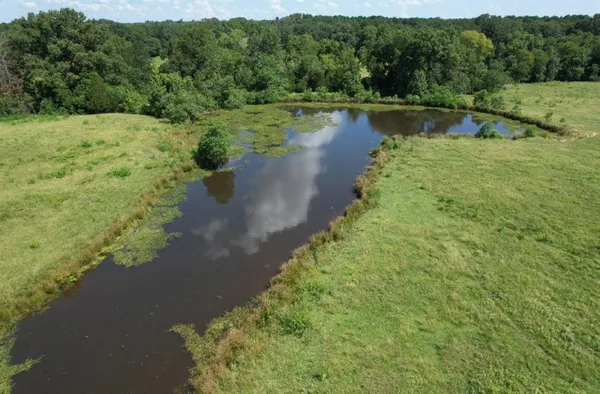 a view of a lake with a yard and large trees