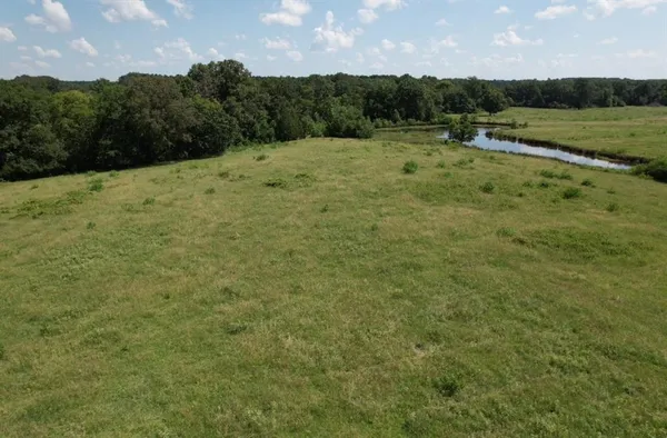 a view of a field with grass