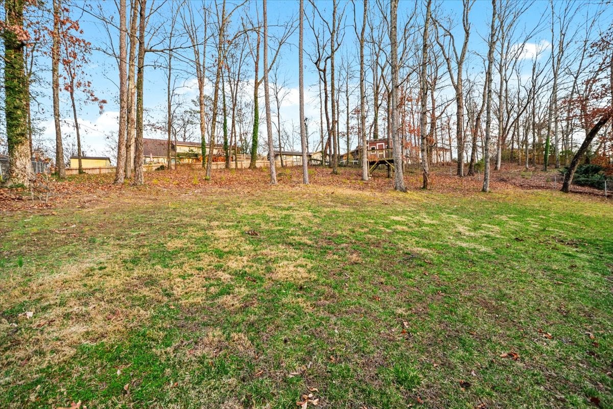 1048 Hurricane Creek Road Chattanooga, TN 37421 - Photo 26 of 31 a view of yard with trees