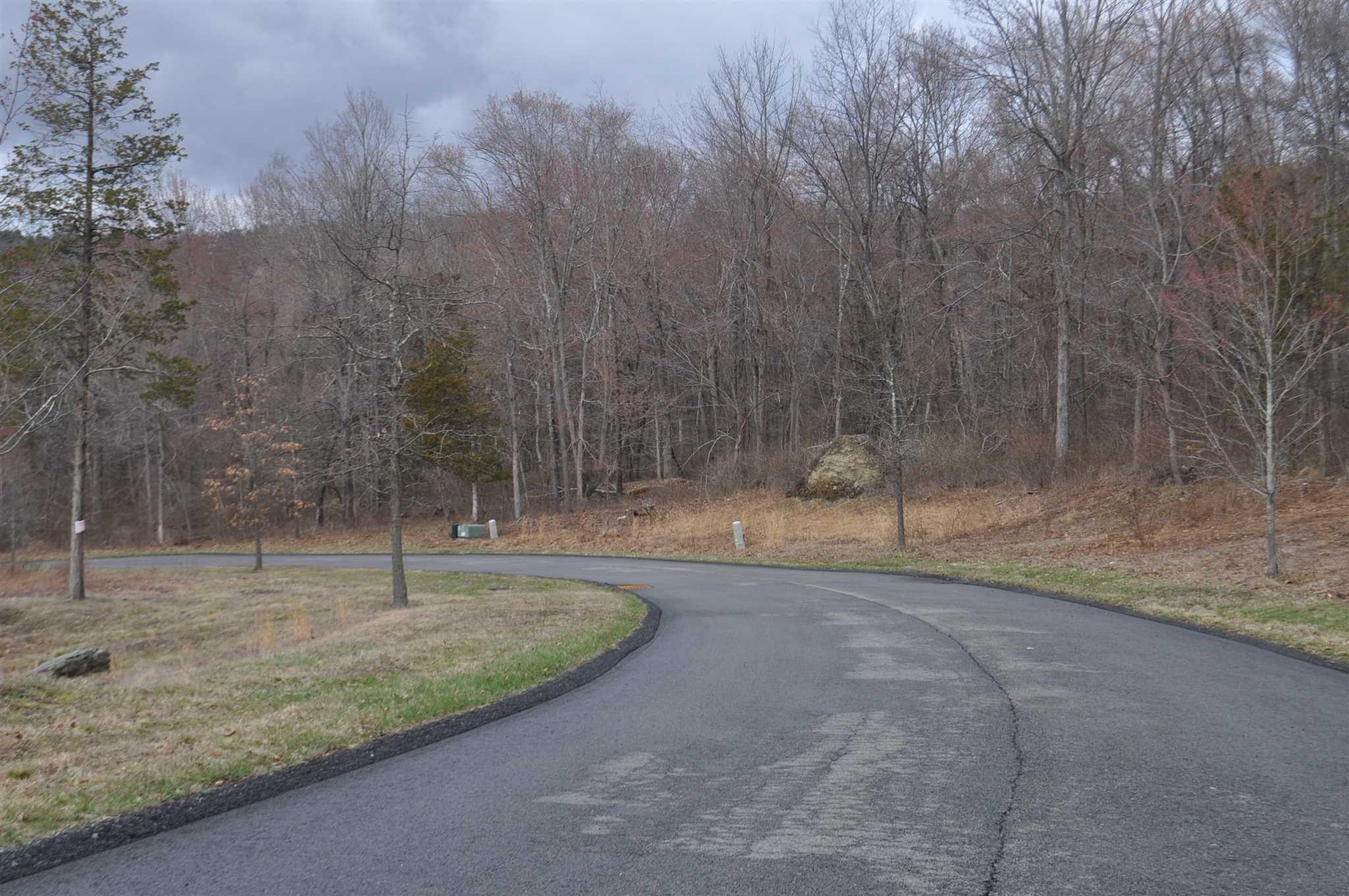 Stonecrest, Unit 11 Hopewell Junction, NY 12533 - Photo 4 of 18 a view of a backyard