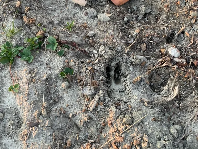 $339,000 | 19 Bear Lane, Rumford, ME 04276