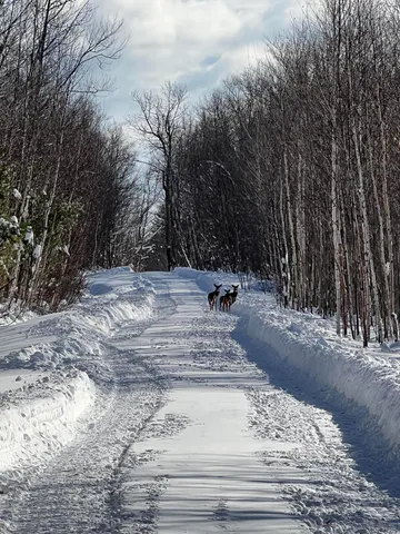 $339,000 | 19 Bear Lane, Rumford, ME 04276