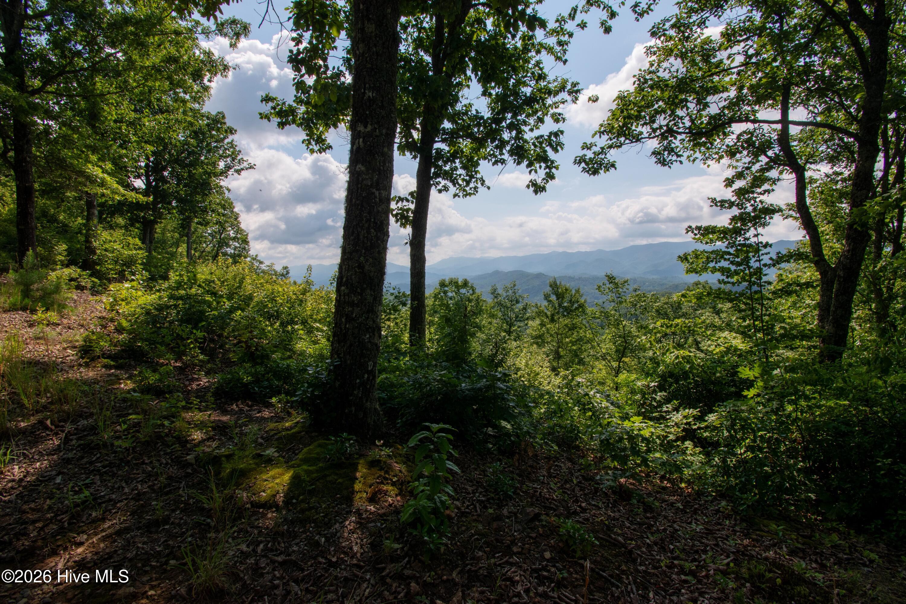 0 Bluff Road Marble, NC 28905 - Photo 1 of 1