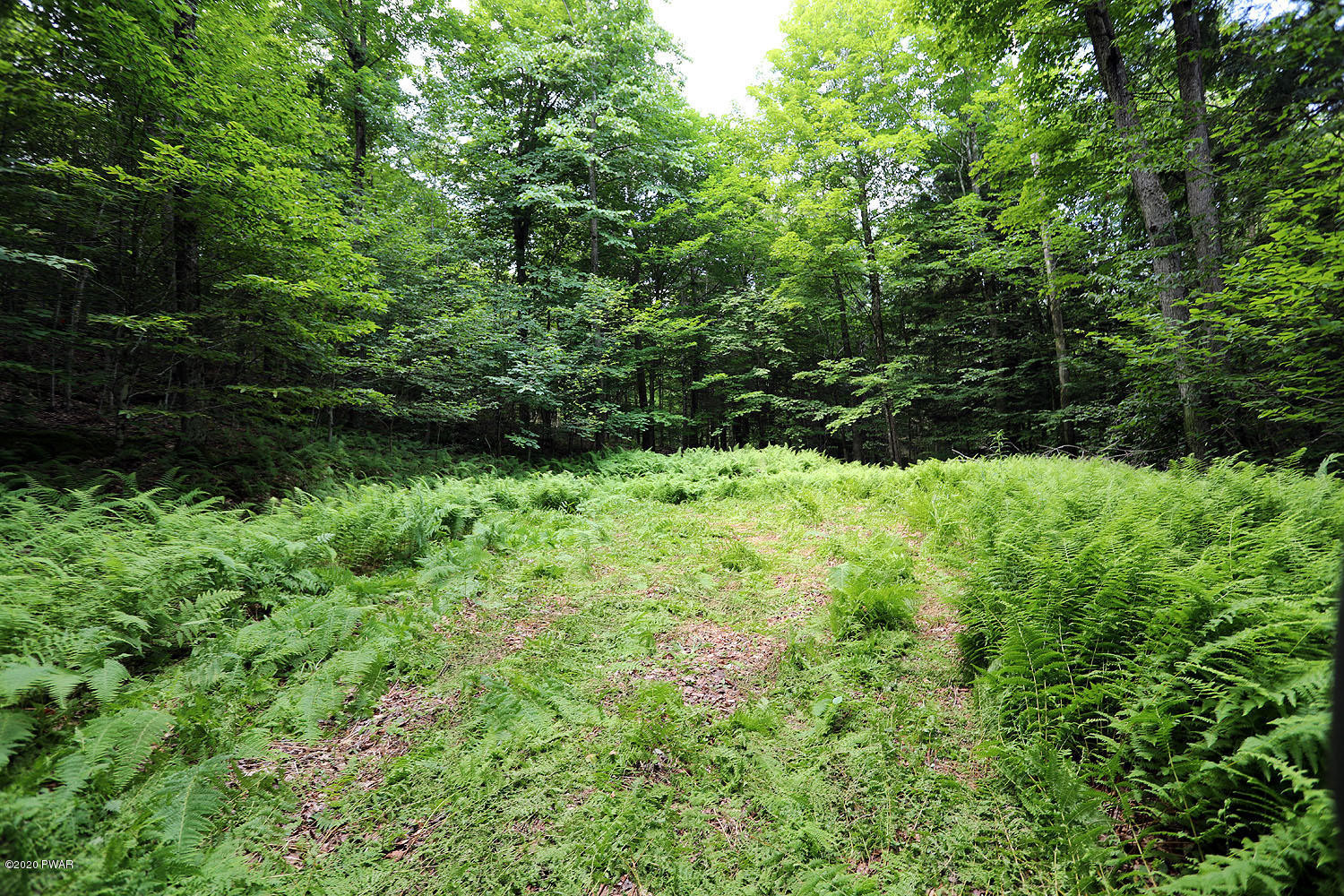 0 Minckler Mountain Road Equinunk, PA 18417 - Photo 1 of 39