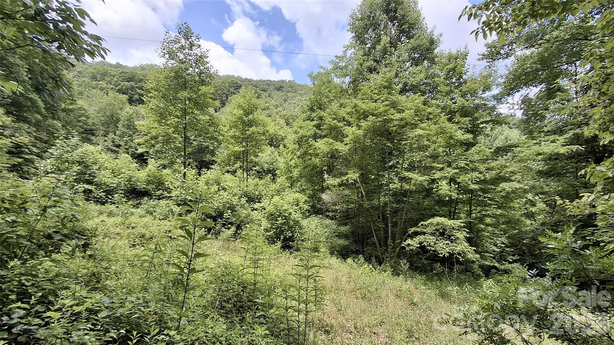 0 Dry Creek Road Robbinsville, NC 28771 - Photo 3 of 20